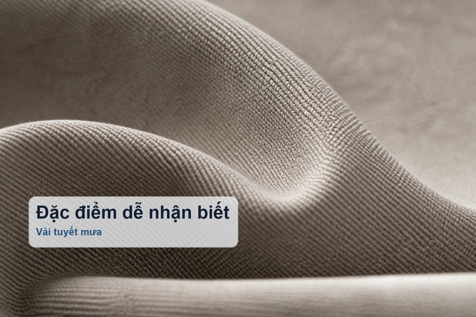Bề mặt vải tuyết mưa dệt chắc và mịn