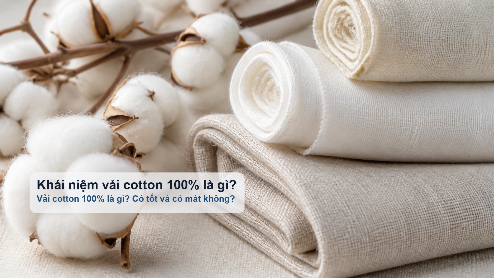 Cuộn vải cotton 100% và hoa bông tự nhiên