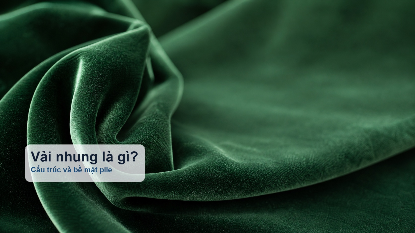 Ảnh minh họa vải nhung và cấu trúc bề mặt pile mịn